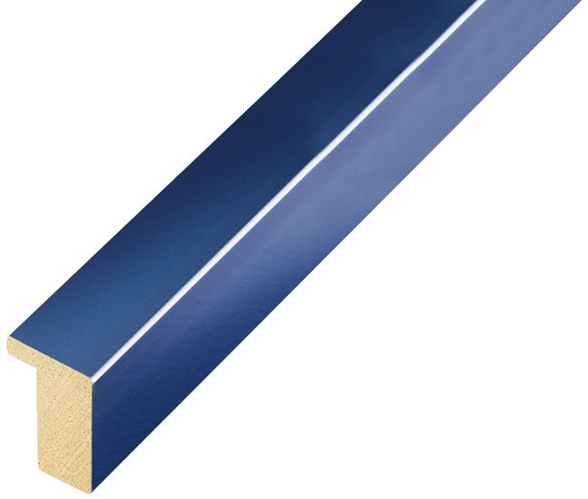 Corner sample of moulding 607BLU