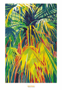 Poster: Saaiman: Tropical Palm - cm 70x100