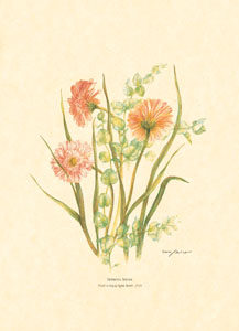 Print: Cut Flowers - cm 50x70